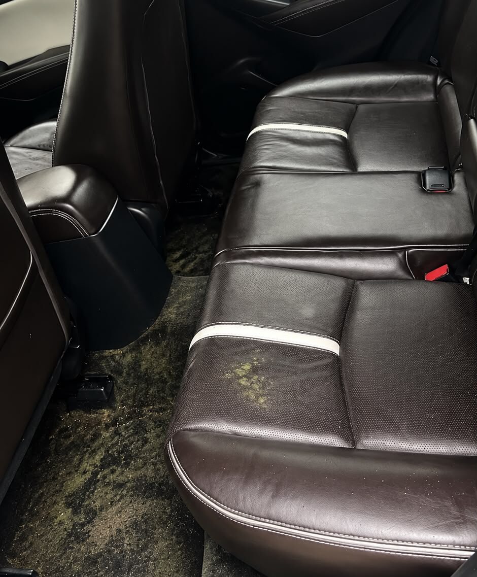 Rear passenger carpet covered in mould before professional mould removal from car interior.
