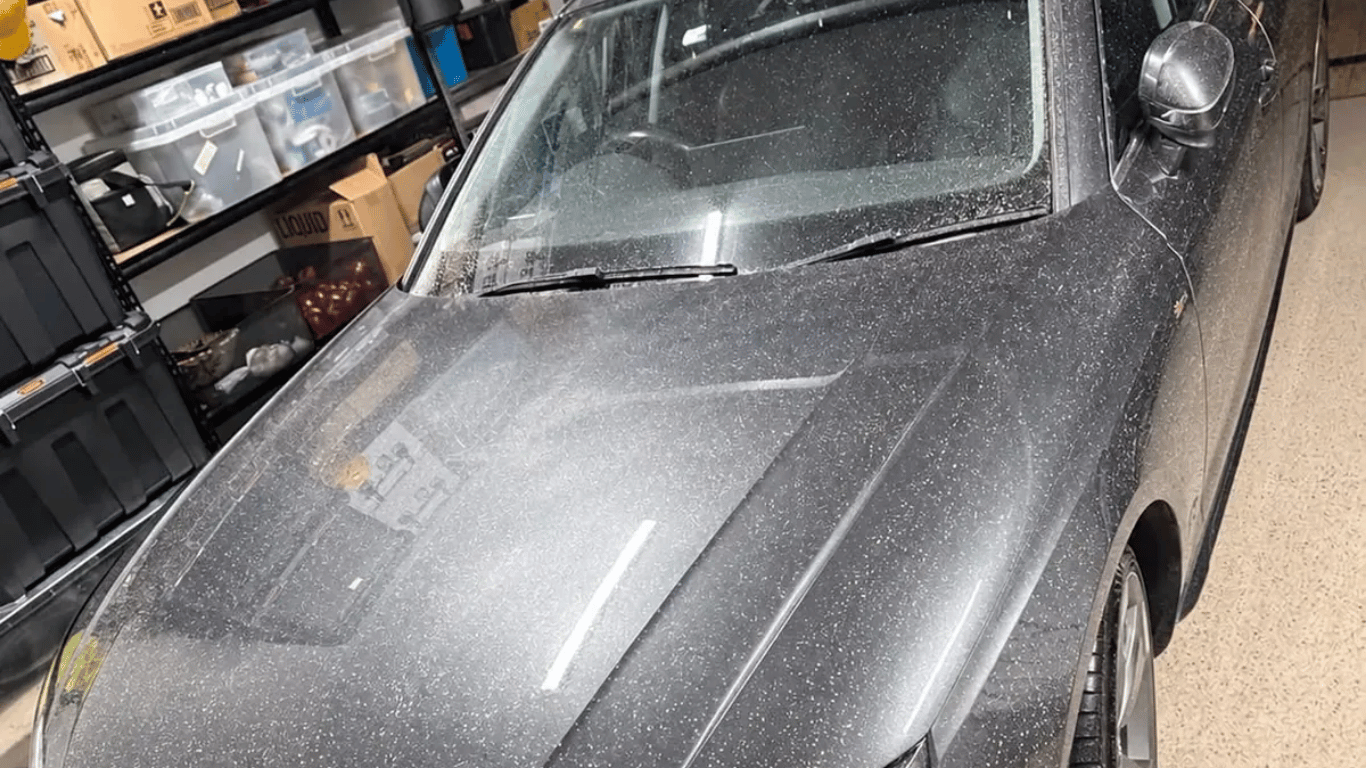 Audi bonded contamination before treatment