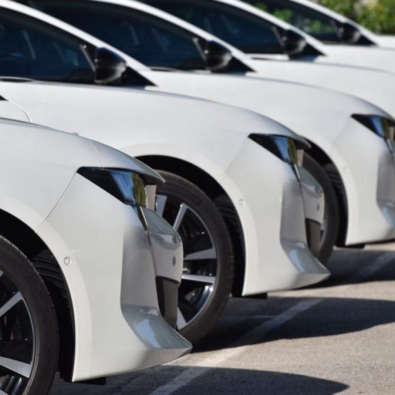 shutterstock_1809877582-1024x683-1-1920w